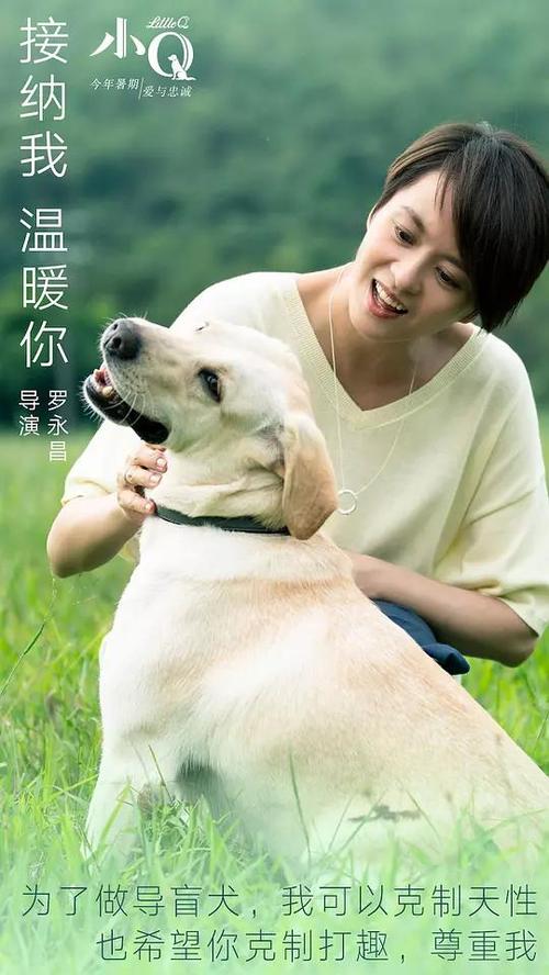 武汉房子办房产证费用计算